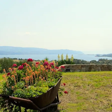 Erotokritos Amolianí